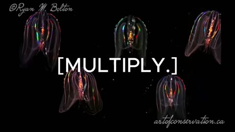 Multiply thumbnail